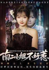 南二小姐不好惹
